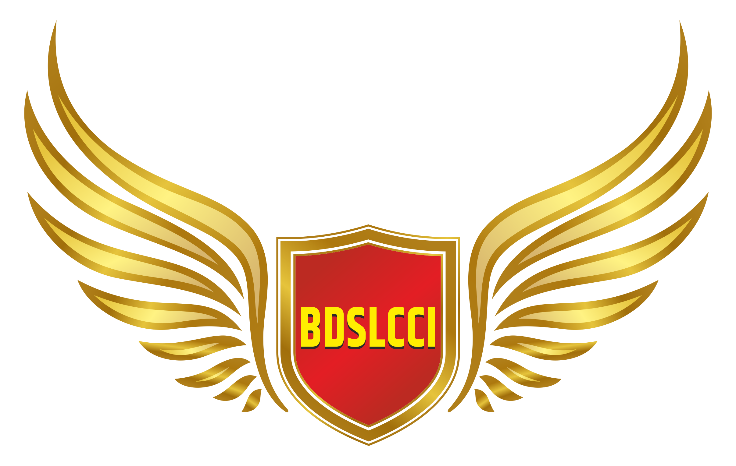 BDSLCCI Logo